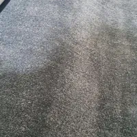 پالاز موکت نمایشگاهی|موکت|تهران, بهارستان|دیوار