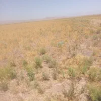 زمین فروشی دوکله|فروش دفتر صنعتی، کشاورزی، تجاری|تاکستان, |دیوار