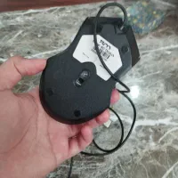 موس|قطعات و لوازم جانبی رایانه|مشهد, تبادکان|دیوار