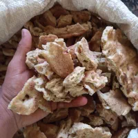 نان خشک. تفتون