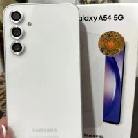 A54/256