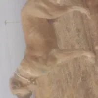 این سگ گم شد|حیوانات|نیشابور, جمهوری|دیوار