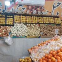 تمام وسایل میوه فروشی یکجا|فروشگاه و مغازه|قم, پردیسان|دیوار