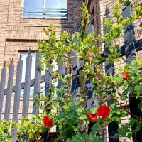 باغ-ویلا-طرقبه-فول-متریال