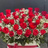 از گلخانه  تا مجالس  و مناسبت های  شما مقرون بصرفه