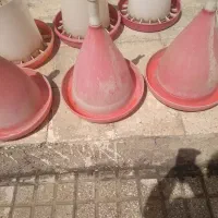 دان خوری...آب خوری