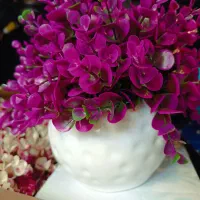 گل و گلدان با هم