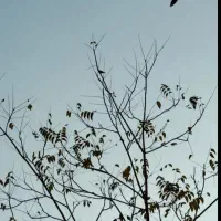 خانه ویلایی فخب کوچه ۲۷