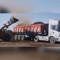 تریلی کود گاوی نیروی طلایی انفجار برداشت پسته|خدمات باغبانی و درختکاری|زرند, |دیوار