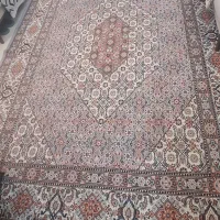 فرش ۹متری|فرش|تهران, فردوس|دیوار