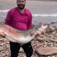 چوب چرخ ماهیگیری|ماهیگیری|قزوین, |دیوار