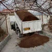 کود گاوی گوسفندی