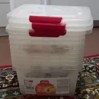 جا نانی سالم