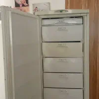 به دلیل خرید یخچال فریزر جدید