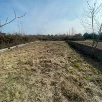 ۲۵۰متر سرمایه گذرای|فروش زمین و ملک کلنگی|کلاچای, |دیوار