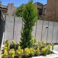 گل کاری وباغبانی هرس کاری وپابیل کردن|خدمات باغبانی و درختکاری|قم, بلوار امین و ساحلی|دیوار