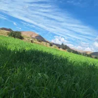 خانه سویت چشمه دیمه کوهرنگ مناسب  با تمام امکانات|اجارهٔ خانه و ویلا|کوهرنگ, |دیوار