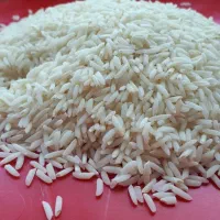 برنج عرضه مستقیم از کشاورز