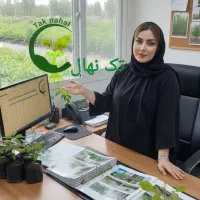 بهترین ارقام نهال در تک نهال