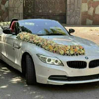 اجاره کرایه ماشین عروس مرسدس بنز C200|خدمات پذیرایی، مراسم|تهران, دردشت|دیوار