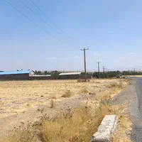 زمین کشاورزی ۸۳۰۰ متری قائدطاهر|فروش دفتر صنعتی، کشاورزی، تجاری|بروجرد, |دیوار