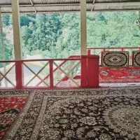 ویلا-جنگلی