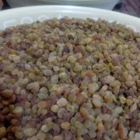 کشمش|عمدهفروشی|بروجرد, |دیوار