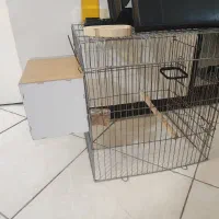 قفس پرنده