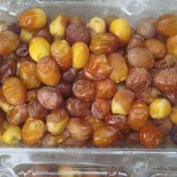 خرما بریهی