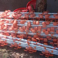 دانخوری آبخوری مرغداری گوشتی|دفتر کار|دماوند, |دیوار