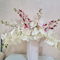 گل ارکیده و گلدان و تابلو و تزئینی