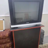 تلوزیون