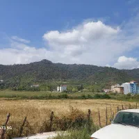 آپارتمان ۲۱۰ متر۳ خوابه خ شهید زارع ویو بام سبز|فروش آپارتمان|ماسال, |دیوار