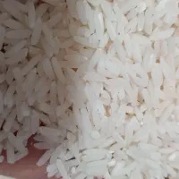 برنج طارم دم سیاه ضمانتی|عمدهفروشی|فاضل آباد, |دیوار