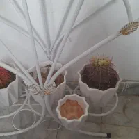 گل وگلدان وپایه گل