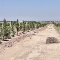 ۱۶.۸۰۰مترزمین،۲تاسند۶دانگ،سهیلیه زعفرانیه اقبالیه|فروش زمین و ملک کلنگی|کرج, باغ سیب|دیوار