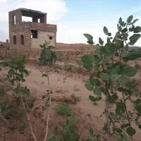 بیدگل-دشت-قاضی