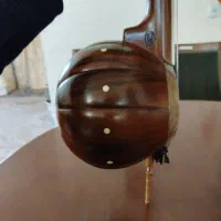 کمانچه بیاض امیرعطایی|سازهای سنتی|تهران, فلسطین (میدان انقلاب)|دیوار