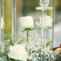 باغ مجالس عقد عروسی نامزدی جاده صدرا
