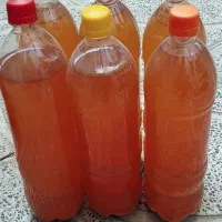 آبغوره|خوردنی و آشامیدنی|کامیاران, |دیوار