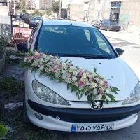 پایه گل|گل و گیاه طبیعی|همدان, |دیوار