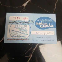 کارت استخر  دلفین