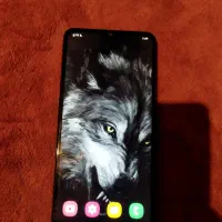 a12 خشک نونو|موبایل|زاهدان, |دیوار