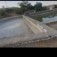 زمین-و-استخر