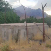 فروش یه قطعه باغ|فروش زمین و ملک کلنگی|صمصامی, |دیوار