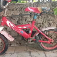 دوچرخه ۱۲ کارکرده