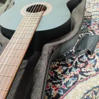 گیتار هاوایی