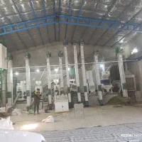 برنج عنبربو(الوان)|خوردنی و آشامیدنی|کوهدشت, |دیوار