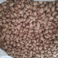 پسته خشک