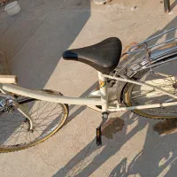 دوچرخه قناری سایز ۲۴کلکسیونی|دوچرخه، اسکیت، اسکوتر|تهران, تهرانسر شمالی|دیوار